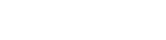 DZN Project